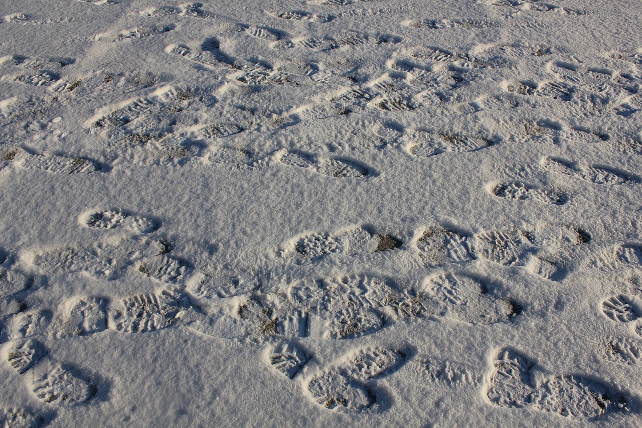 How to Minimize Digital Footprints